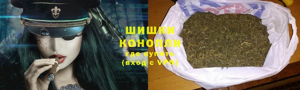 хмурый Бородино