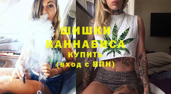мдпв Богородск