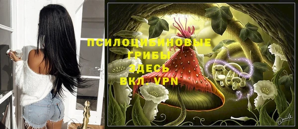 хмурый Бородино